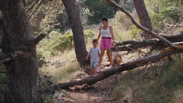 Mom Walks in the Park with Children Holding Hands