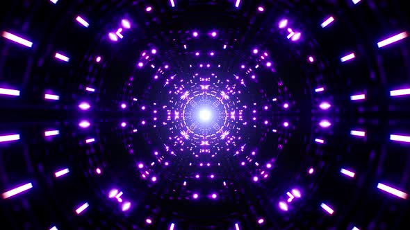 Purple Party Light Tunnel