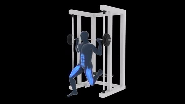 Bulgarian Split Squat At The Multipower Workout alt