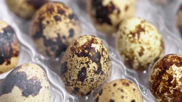 Uncooked Quail Eggs in Pack. Rotating and Closeup