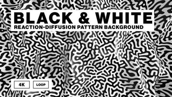Black and white reaction-diffusion pattern