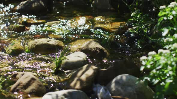 View of water running through the stones in the forest