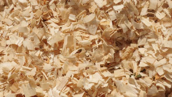 Heap of wooden sawdust on the ground slow tilt 4K 2160p 30fps UltraHD footage - Close-up pile of woo alt