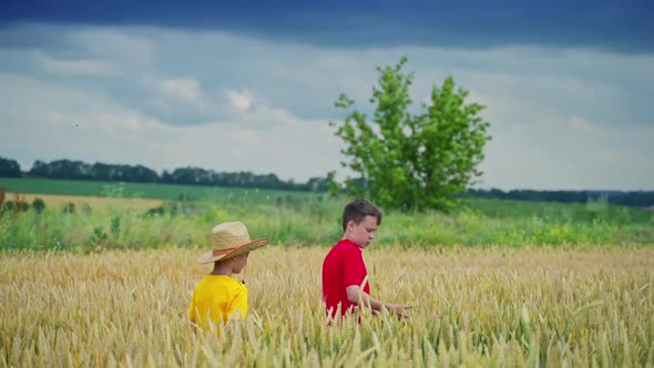 Little farmers walking on yellow field