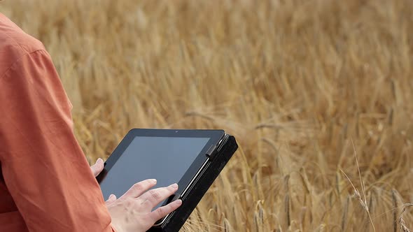 Caucasian Agronomist checking the field of cereals and sends data to the cloud from the tablet