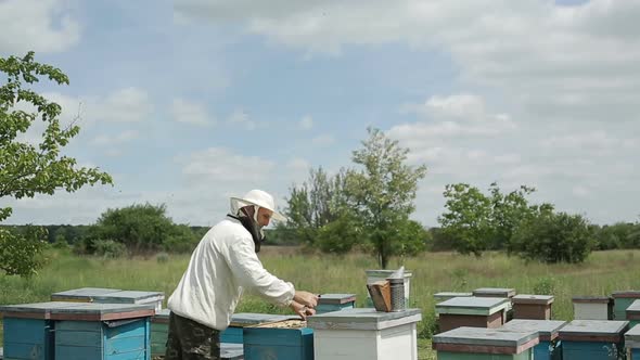 Beekeeper Working in his Apiary