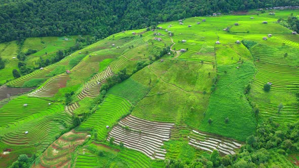 Aerial view of drones flying over rice terraces