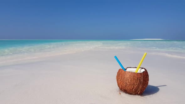 Aerial above landscape of tropical island beach wildlife by turquoise sea with white sand background