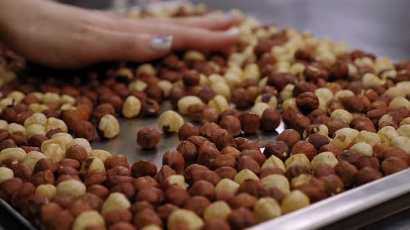 Closeup of Hazelnuts the Girl Lays Them Out with Her Hands in a Baking Dish