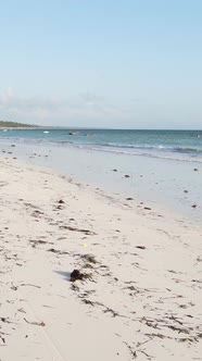 Vertical Video Boats in the Ocean Near the Coast of Zanzibar Tanzania