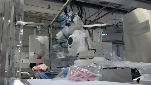 Automatic Packaging of Meat in Production