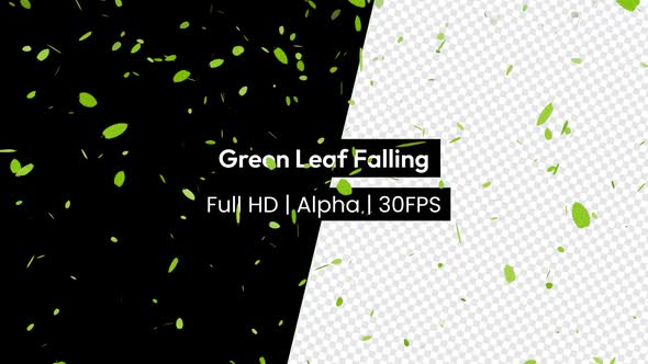 Green Leaf Falling Rain Leaves with Alpha
