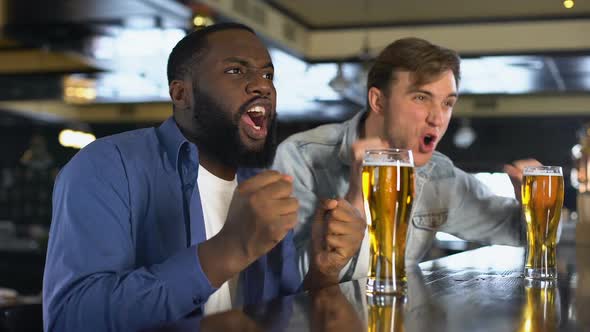 Two Young Men Watching Sport Competition in Pub, Clinking Beer Glasses, Hobby