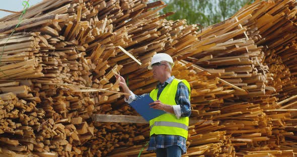 Male Worker Examining Plank's Stack