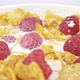 Cereals With Raspberries - VideoHive Item for Sale
