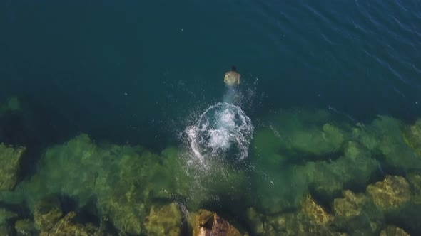 Aerial drone muscular man jumps off a rock into clear blue water In the lake and swim. Top view