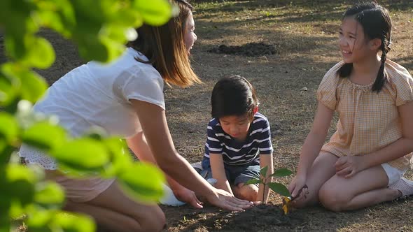 Cute Asian Children And Mother Planting Young Tree On The Black Soil Slow Motion `