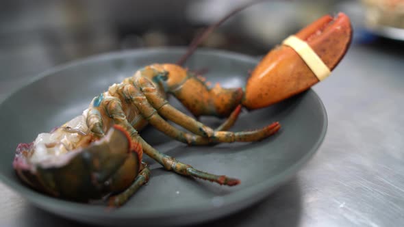 Tasty lobster served in bowl in seafood restaurant