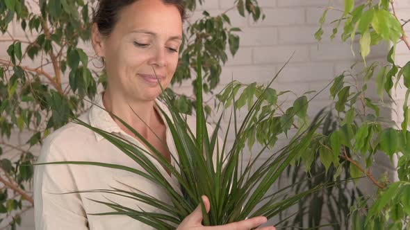 Florist with a flower in a pot.