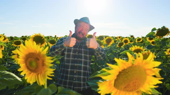 Bearded Aged Farmer Man in Hat Joyful and Showing Thumb Up in Field at Sunrise