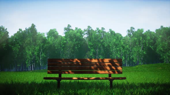 Shady Wooden Bench On The Windy Green Grass Park At Sunny Day 4K 03(Still Shots)