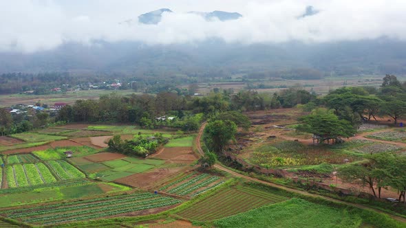 Aerial Views of Pua and the Rice Fields in Nan Province Thailand