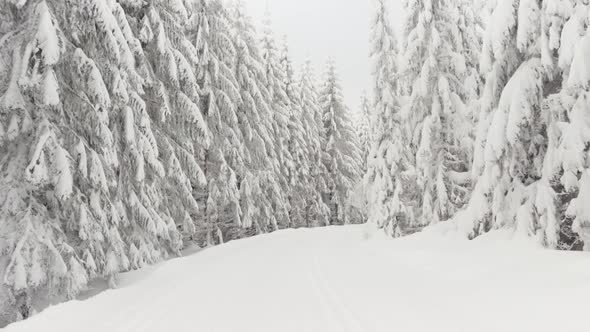 POV  a Person Walks Down a Pathway Through a Snowcovered Winter Forest