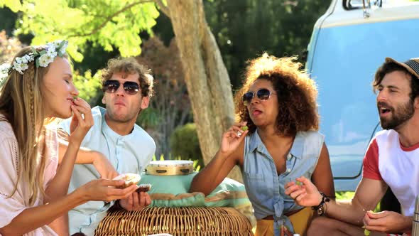 Group of hipster friends having a picnic