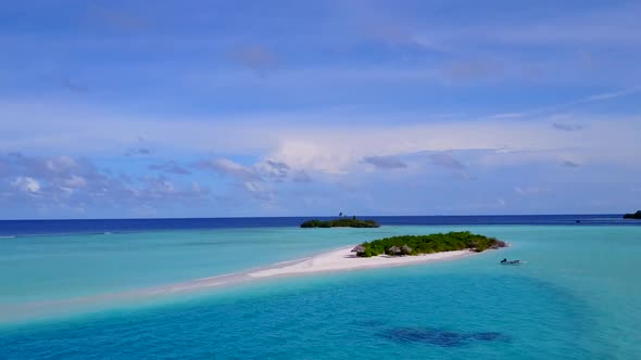 Aerial view landscape of shore beach wildlife by ocean and sand background