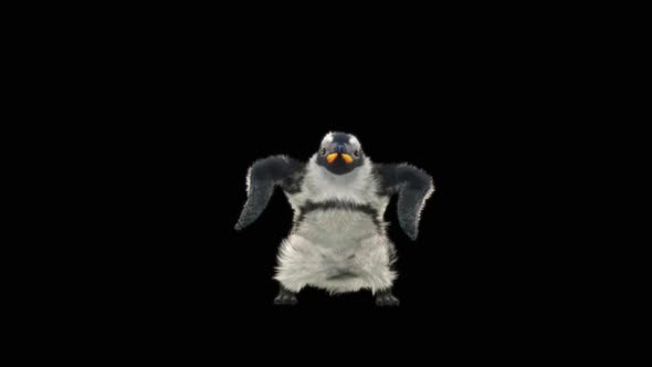 Penguin Dancing HD