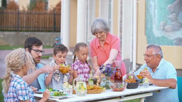 Family Picnic Party