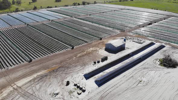 Aerial View of a Strawberry Farm in Australia