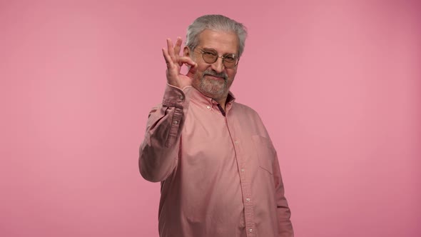 Portrait of an Elderly Man with Glasses Looks Seriously at the Camera Then Smiles and Making Sign Ok