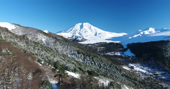 Aerial Footage Of Amazing Andes Mountains Araucaria Forest Landscape In Chile