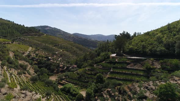 Famous Vineyards Douro Valley Porto Wine Region Portugal