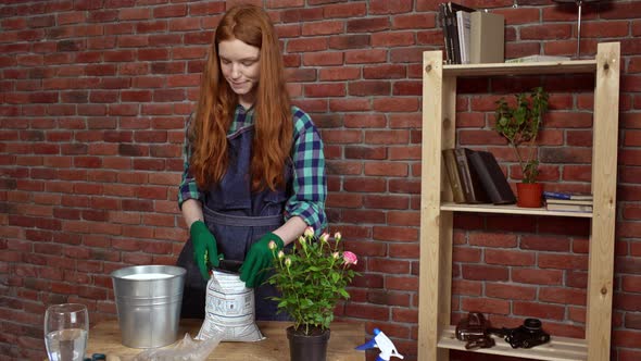 Beautiful Redhead Girl Looking After Flowers