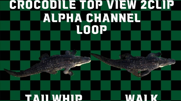 Crocodile 2 Clip Alpha Loop alt
