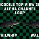 Crocodile 2 Clip Alpha Loop - VideoHive Item for Sale
