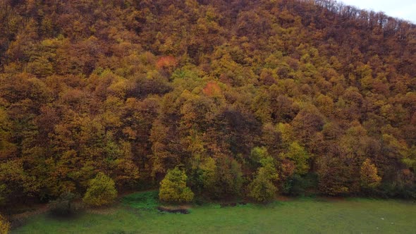 Forest Woods Mountain at Autumn Season Red Foliage Aerial View