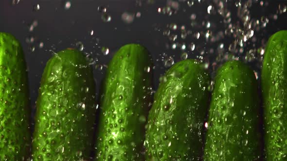 Super Slow Motion on a Row of Cucumbers Drops Water