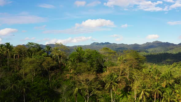 Beautiful Mountain Landscape with a Jungle in Sunny Weather