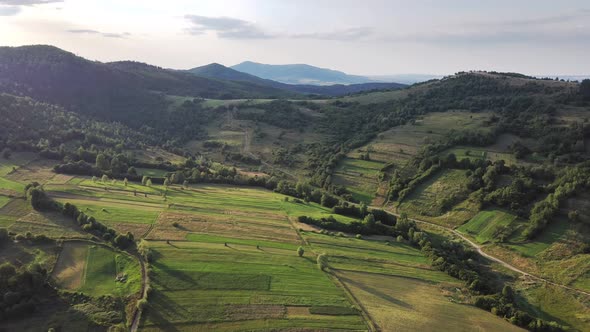 Aerial view of the picturesque Carpathians with slanting slopes and spruces. Aerial drone view.