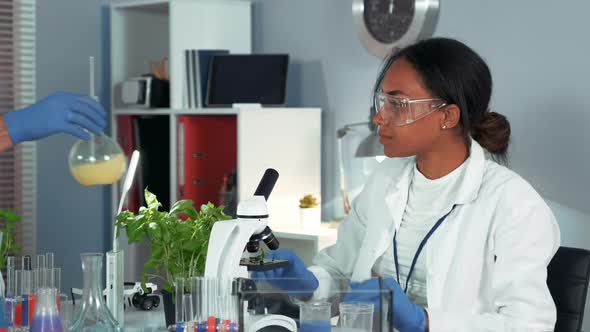 Multiracial Female Scientist in Safety Glasses Using Colleague's Chemical Liquid in Flask in Her