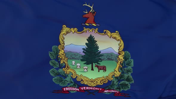 Flag of Vermont State Region of the United States Waving at Wind