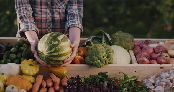 A Farmer Holds a Watermelon Over a Counter with Fruits and Vegetables