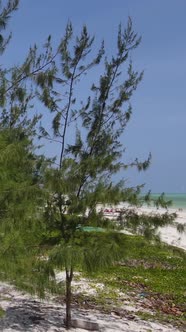 Beach on the Coast of Zanzibar Island Tanzania