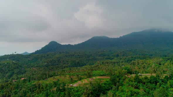 Rice Terraces in the Foothills Covered With Jungle