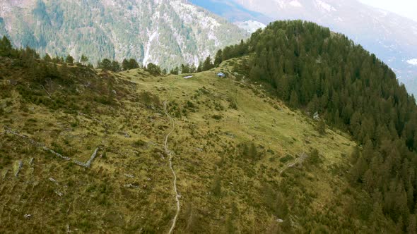 Aerial view of the woods in Gerola Alta.