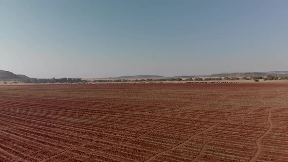 Aerial of unused plowed land with cattle on the horizon