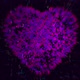 Digital Heart Formation - VideoHive Item for Sale